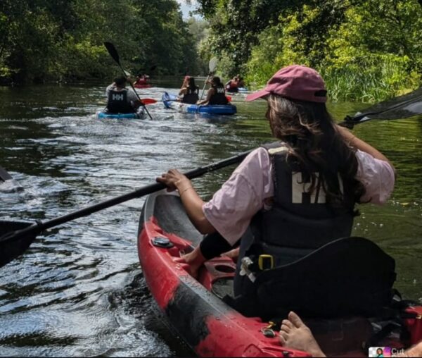 1-Person Kayak Hire - Sunset (1.5 Hrs 18:00 & 18:30) - Image 3